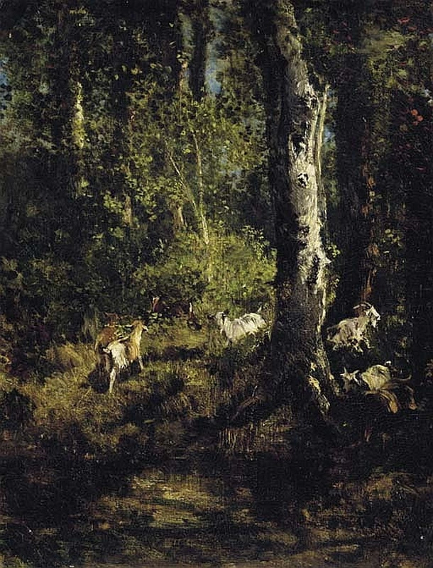 Paesaggio forestale con capre